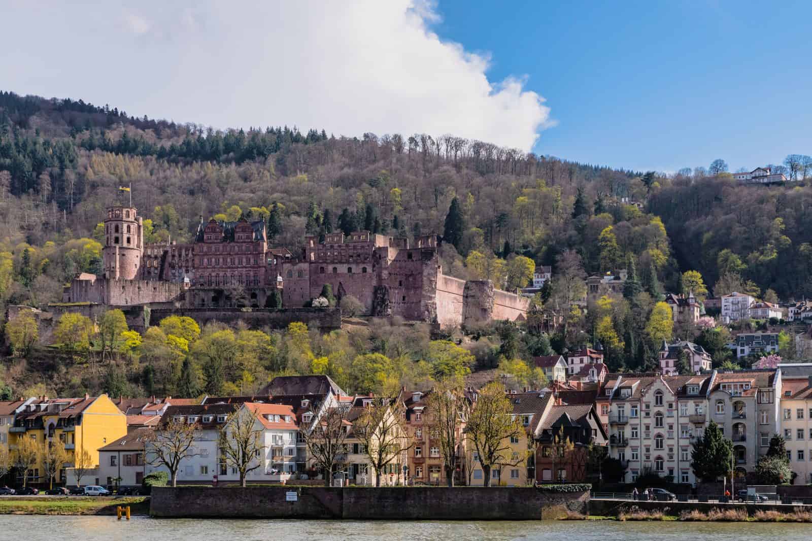 Heidelberg Castle and old town above the Neckar — corporate event activities in Heidelberg