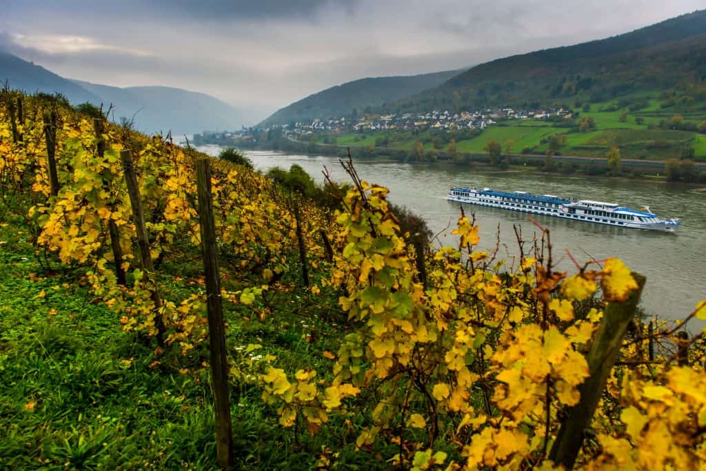 River cruise ship on the Rhine passing autumn vineyards near Assmannshausen, Germany